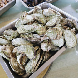 糖心网页版界面预览